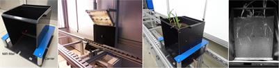 Integrated phenotyping of root and shoot growth dynamics in maize reveals specific interaction patterns in inbreds and hybrids and in response to drought